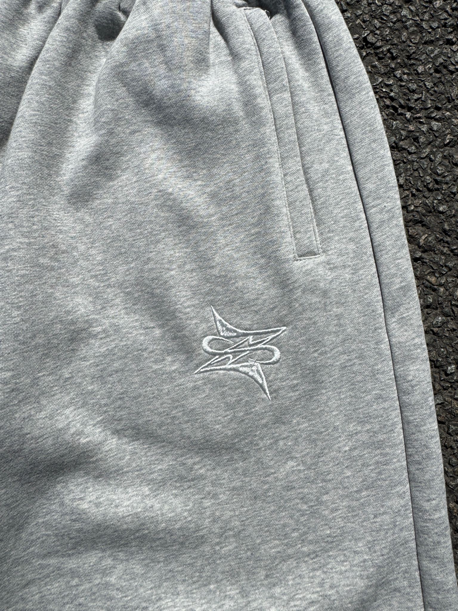 Era baggy short gris - Neptunz